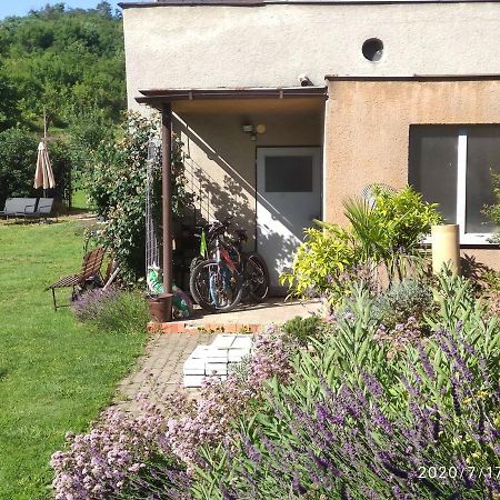 Apartman Lenka II Borsice Екстер'єр фото